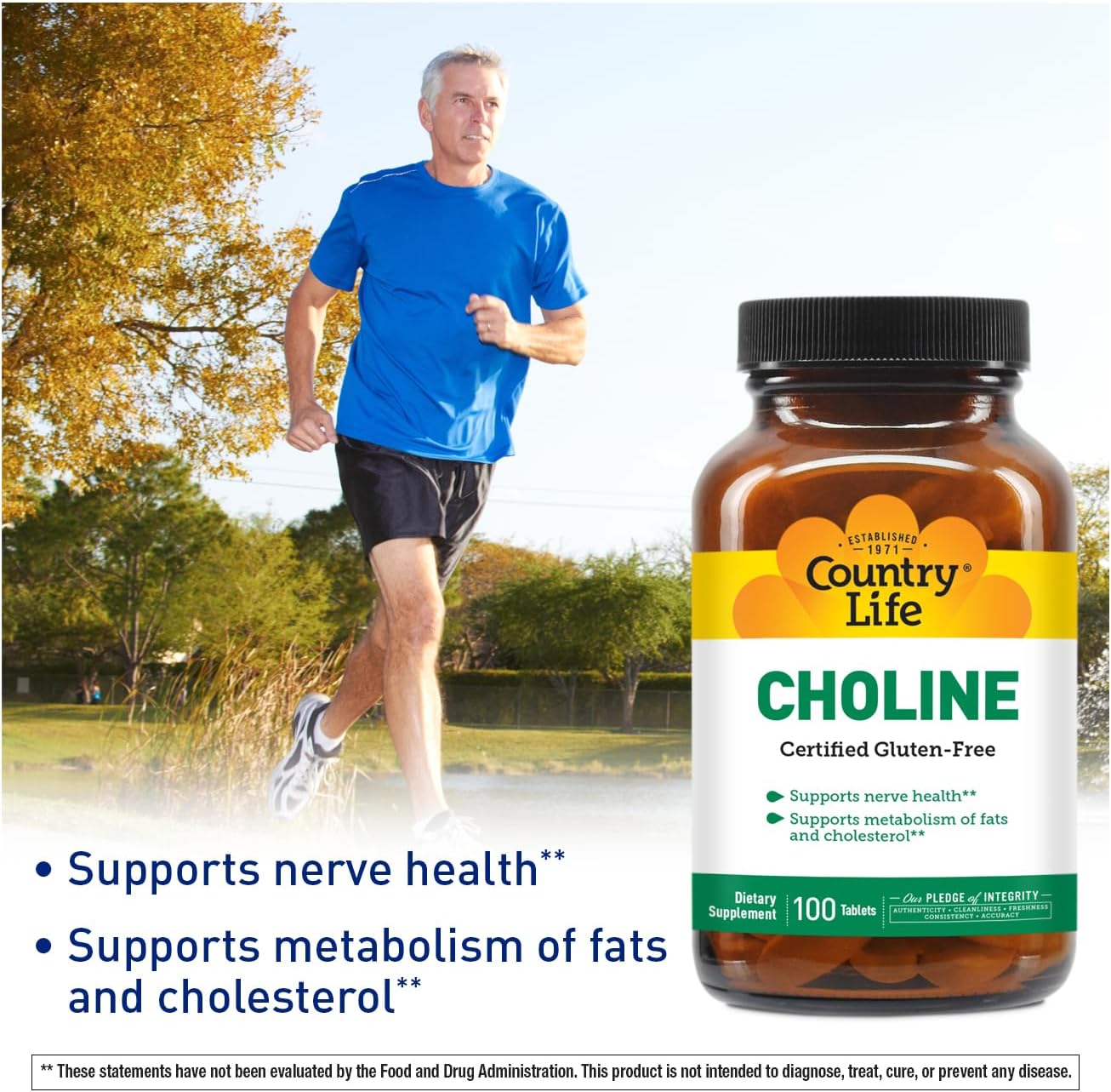 Country Life Choline Nerve Health 266 mg 100 Tablet - Galeri