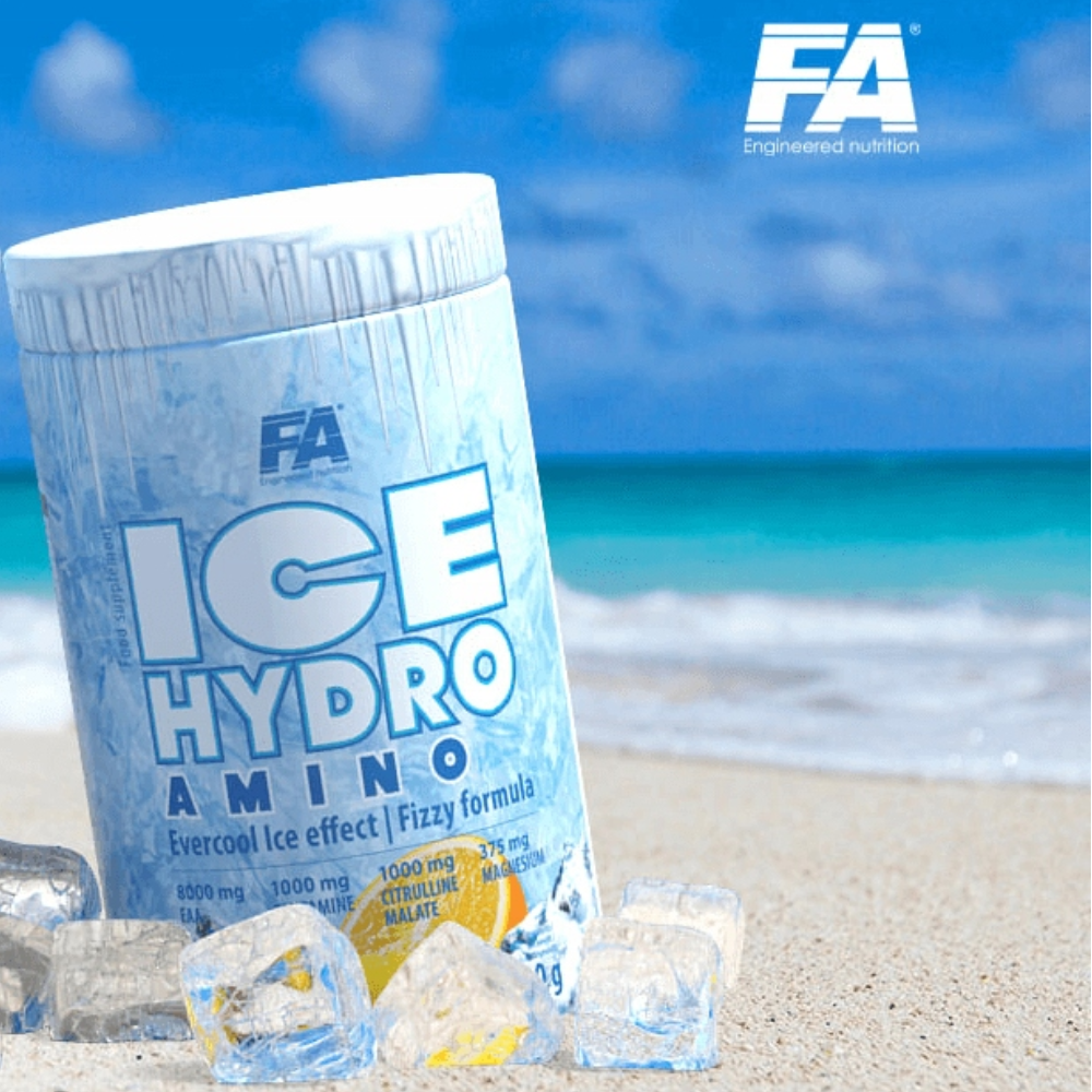 FA ICE Hydro Amino(EAA+GLUTAMİN+BCAA) 480 g