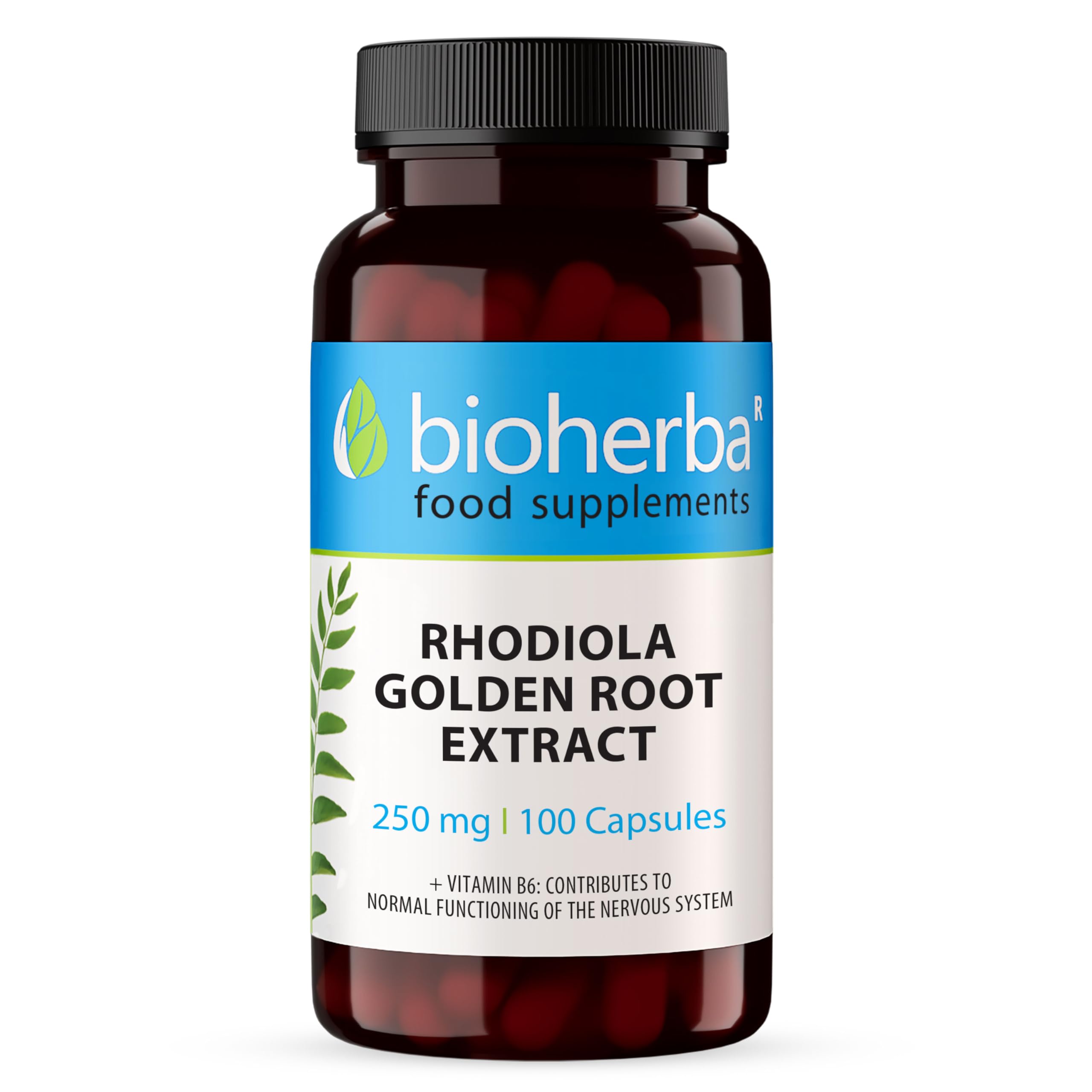 Bioherba Rhodiola Rosea With Vitamin B6 Stress Relief Mental Nervous 100 Caps