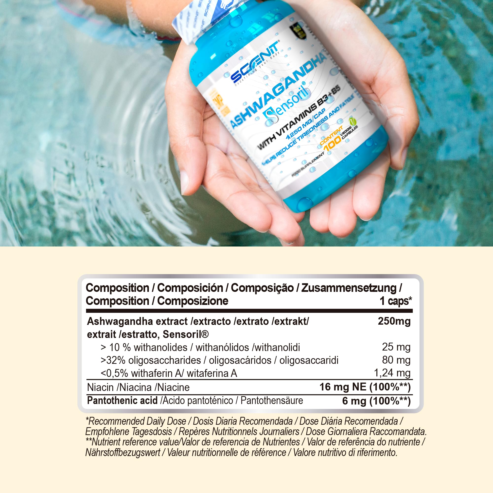 Scenit Nutrition Ashwagandha Sensoril® with  and Vitamin B3 and B5 - 100 vegan caps