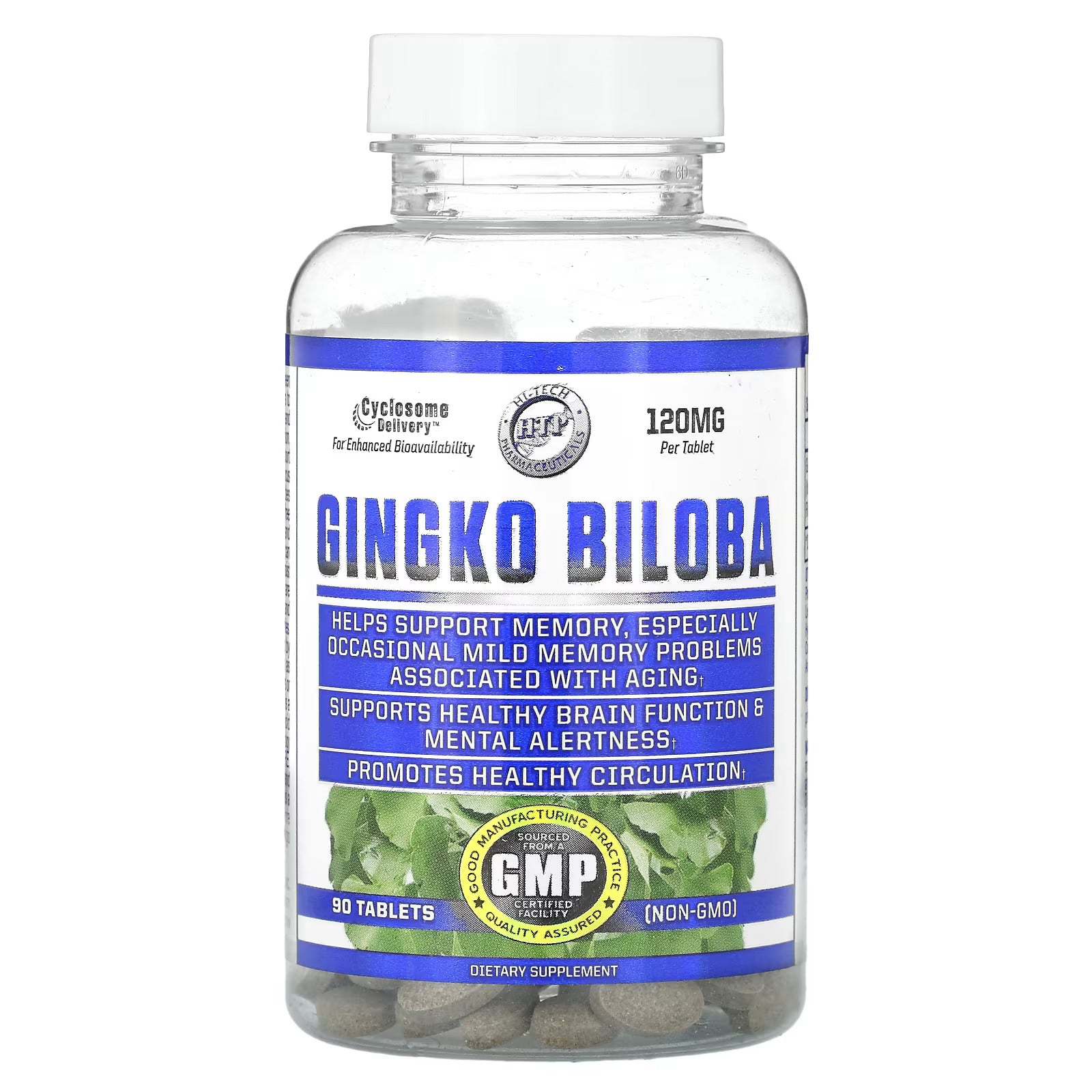 Hitech Ginkgo Biloba 90 Tablet