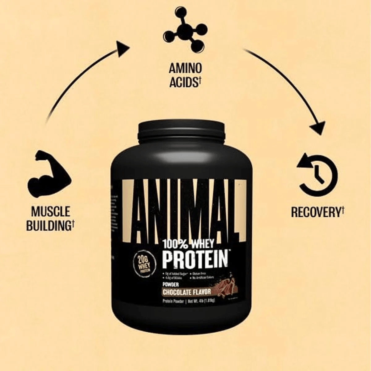 Universal Animal Whey Protein 2 kg
