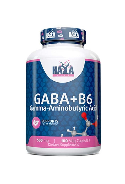 HAYA LABS GABA - B6 500 mg  100 Vcaps